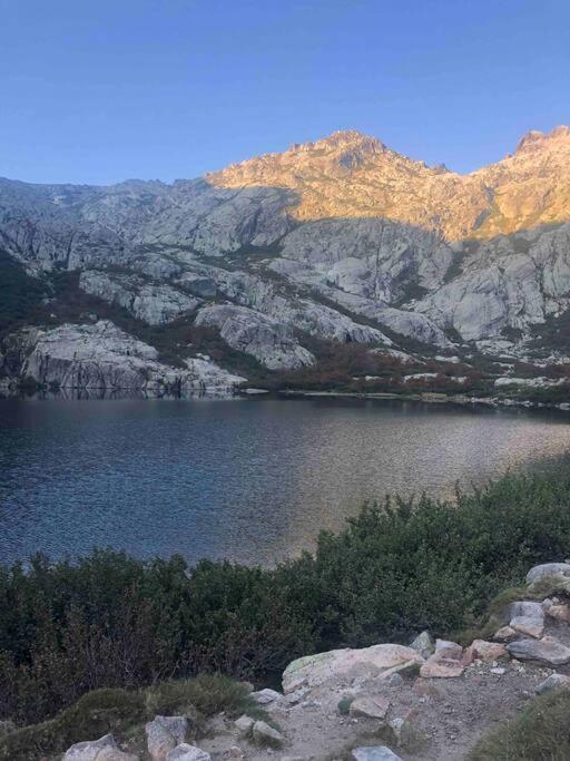 Appartement Au Coeur De La Ville Corte  Exteriör bild